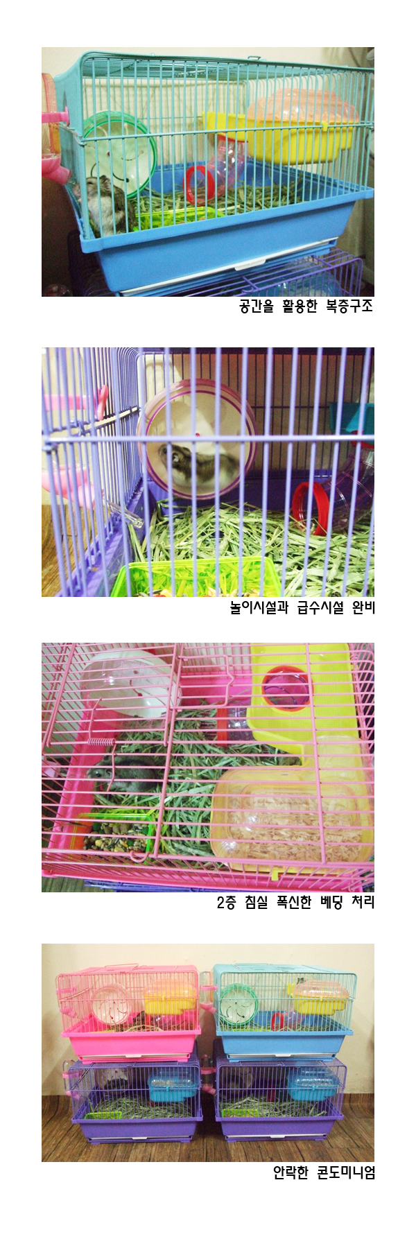 햄토리들의 러블리 하우스를 소개합니다~