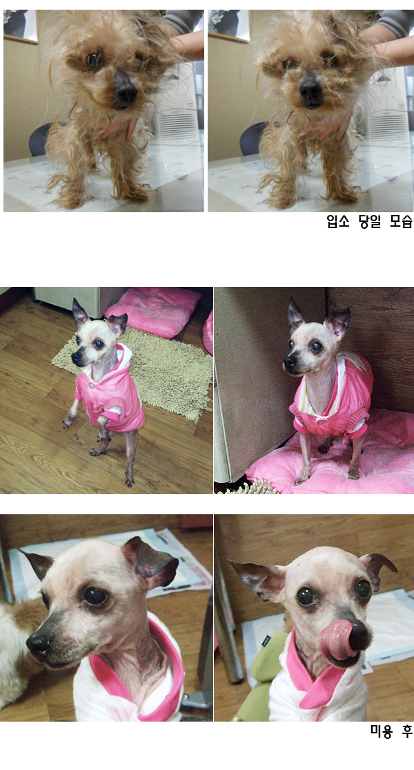 성남에서 온 칸이 입니다!