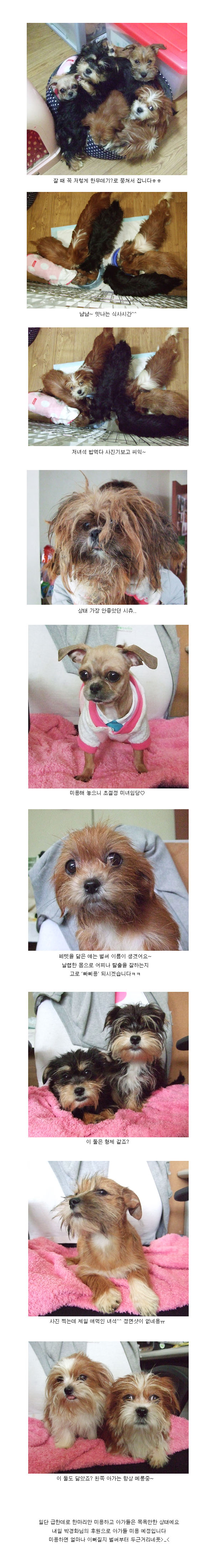 아가들 얼굴 궁금하시죠?