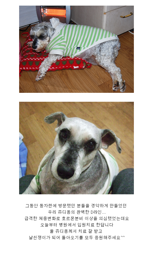 쥬디가 입원했답니다