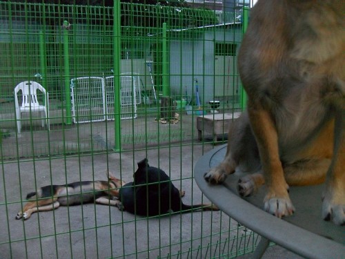 봉사활동에 대해...