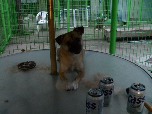 봉사활동에 대해...