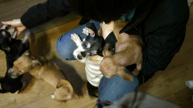 저번 토요일 즐거웠습니다.