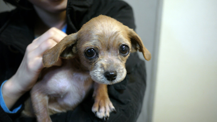 저번 토요일 즐거웠습니다.