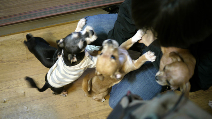 저번 토요일 즐거웠습니다.