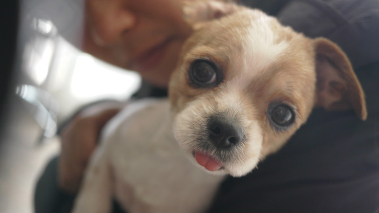 저번 토요일 즐거웠습니다.