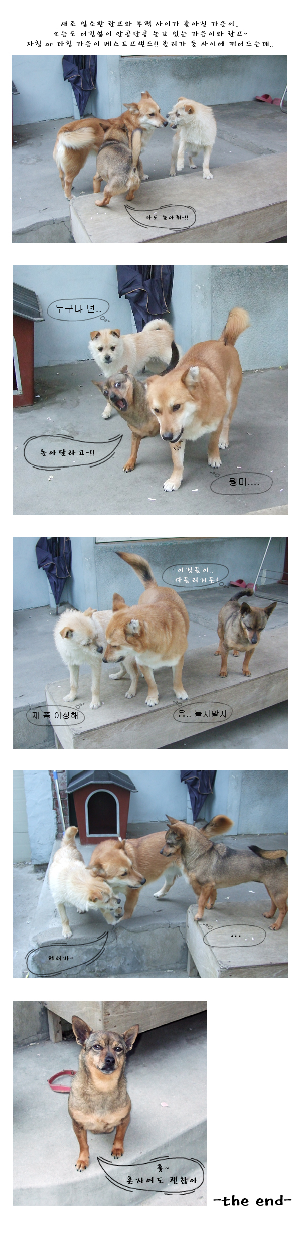 졸리의 삼각관계~