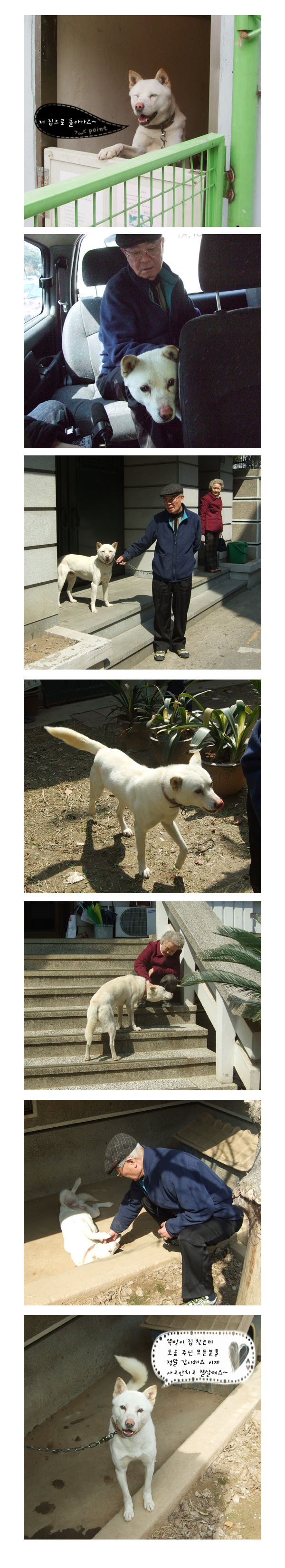 SBS 동물농장-뚝방이 주인 찾아 갔습니당~