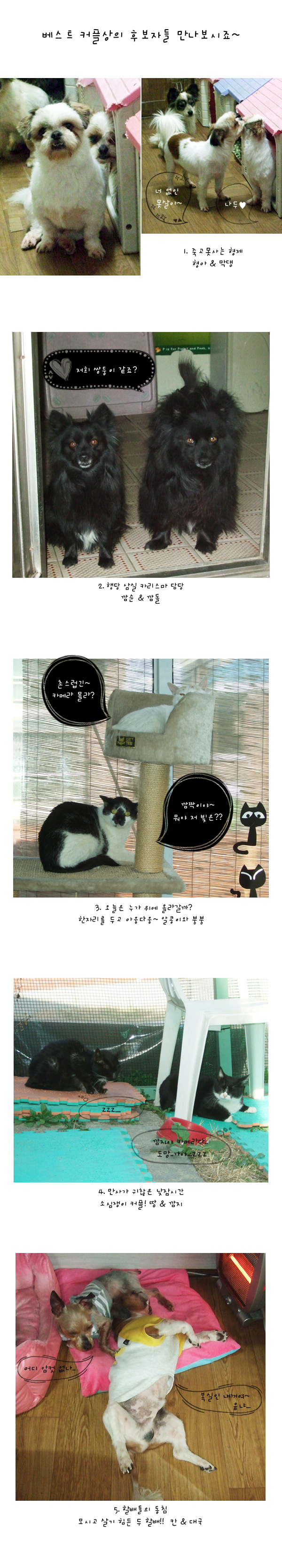 행당동 베스트 커플을 뽑아주세요!!