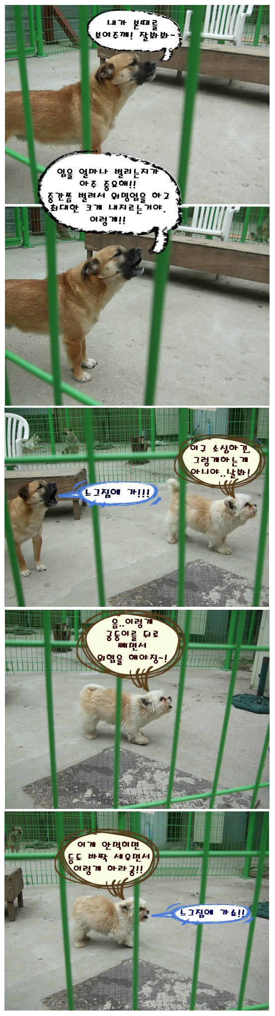 깝돌이와 티의 귀여운 으름장~ ^^