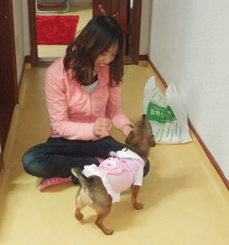 졸리의 견생 역전!!