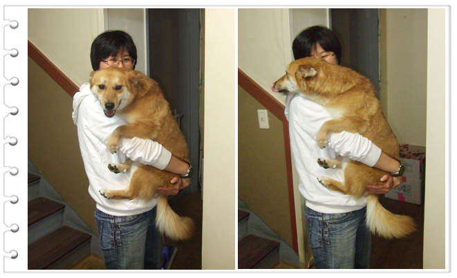 덩치값 못하는 가을이... 