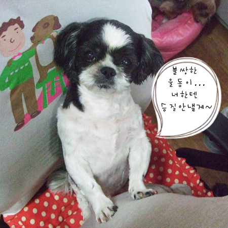 뚱식군의 새로운 취미발견~