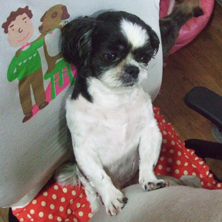 뚱식군의 새로운 취미발견~