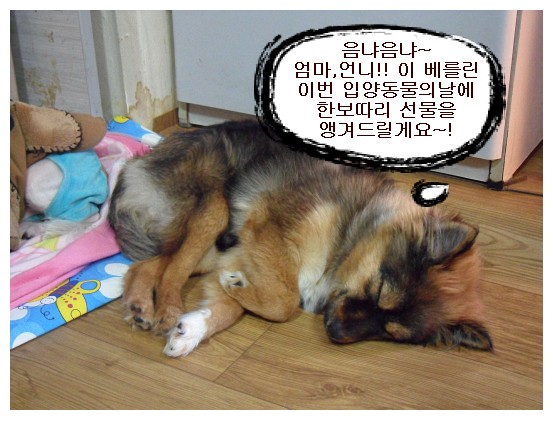 <입양동물의 날> 개인후원 추가명단~!!