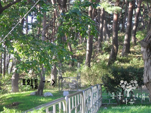 <font color=#D40A00>동물보호복지 콜센터 1577-0954 개설