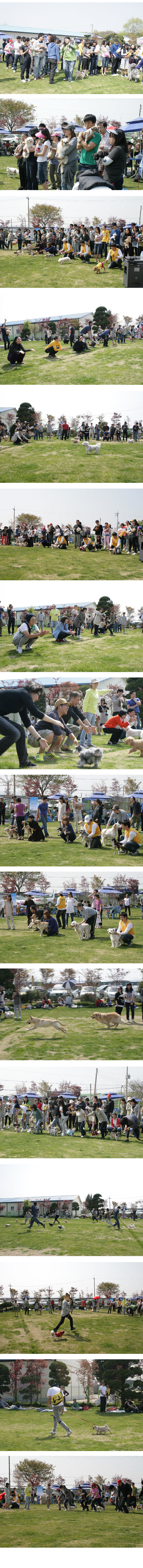[입양동물의 날] 게임 사진 