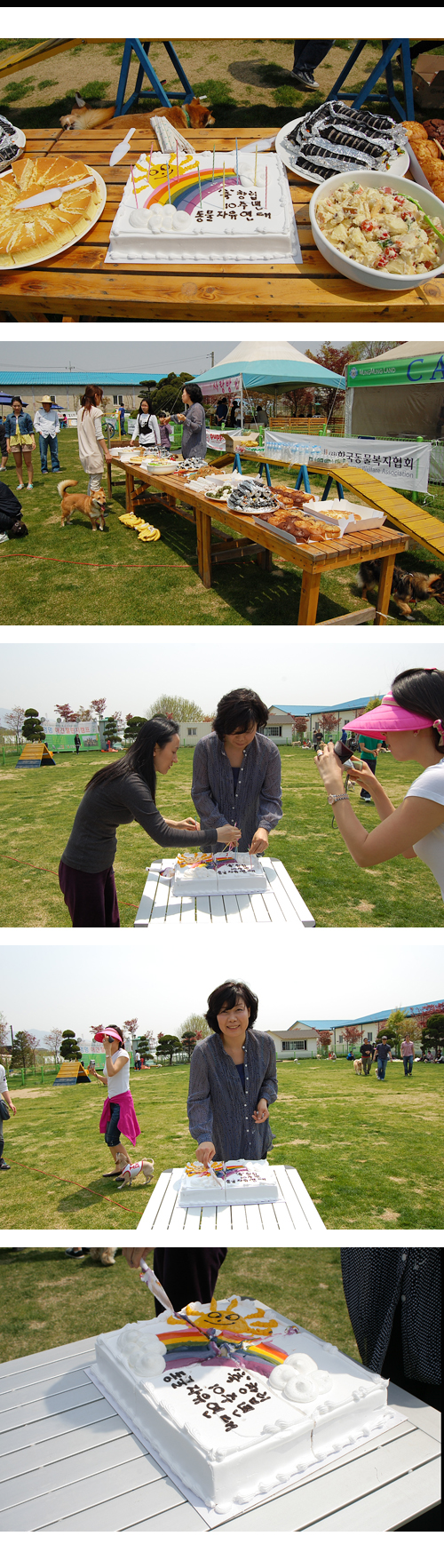 [입양동물의 날] 동자연 10주년 기념 케익 절단식 