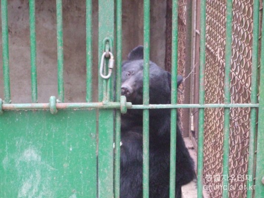 5월 6일 다윗동산 방문 보고-야생동물사육의 문제