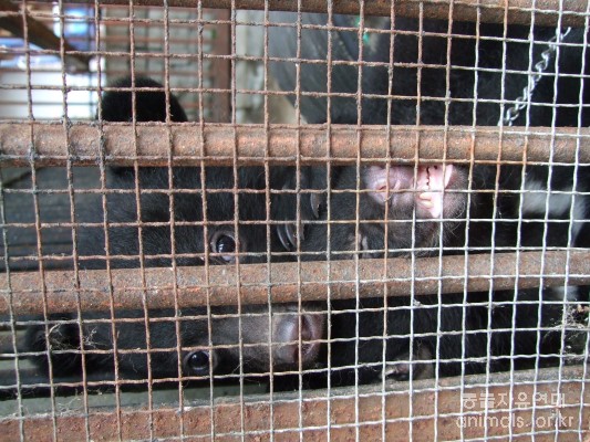 5월 6일 다윗동산 방문 보고-야생동물사육의 문제