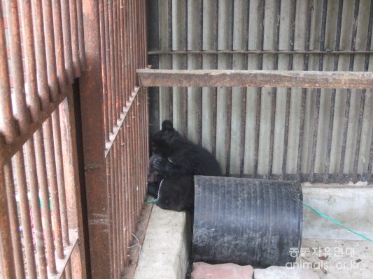 5월 6일 다윗동산 방문 보고-야생동물사육의 문제