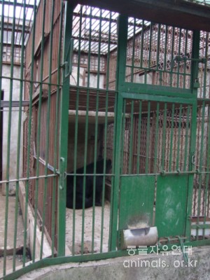 5월 6일 다윗동산 방문 보고-야생동물사육의 문제