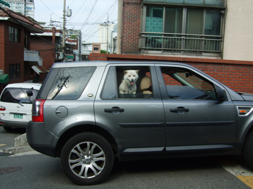 안녕 내 사랑 시몬