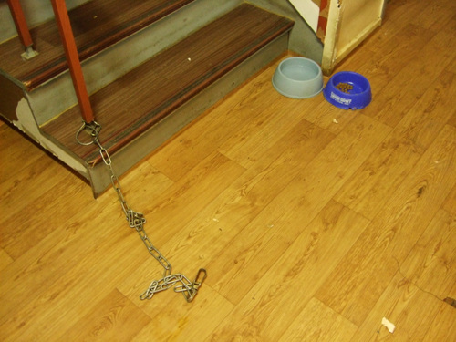 안녕 내 사랑 시몬