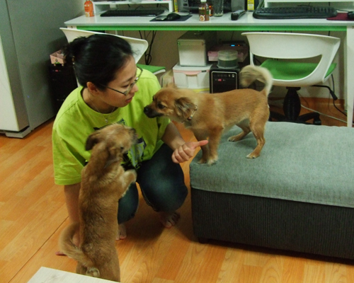 대장이 입양기^^