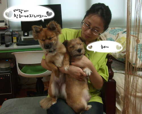 대장이 입양기^^