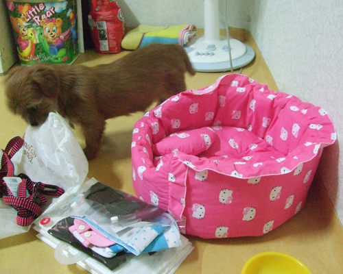 빠삐~빠삐~ 빠삐용♬ 