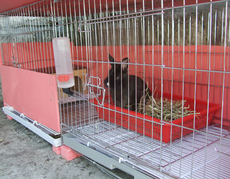 미토's house renewal:)