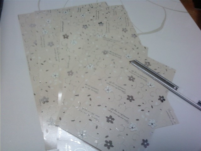 럭셔리 고슴도치 아리 여왕님