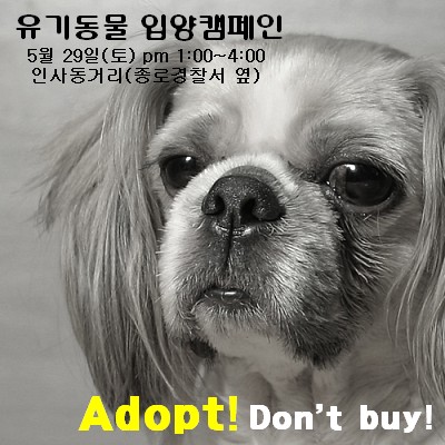<font color=#940000>[5월 29(토)]유기동물 입양 캠페인 참가자 및 봉사자 모집합니다.