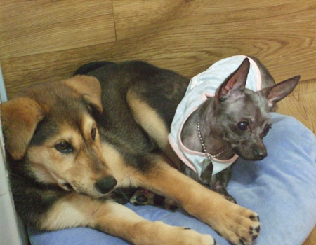 바니와 윌리엄의 은근한 조화^^