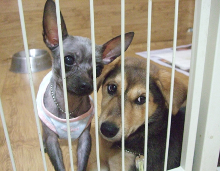 바니와 윌리엄의 은근한 조화^^