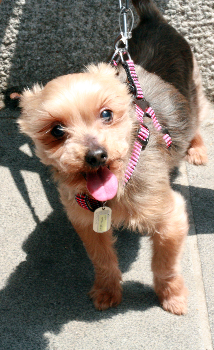 늦은사진 올립니다