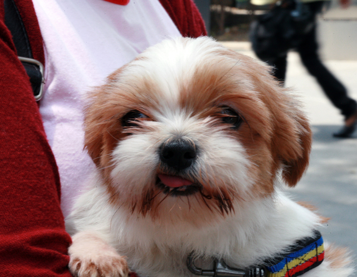 늦은사진 올립니다