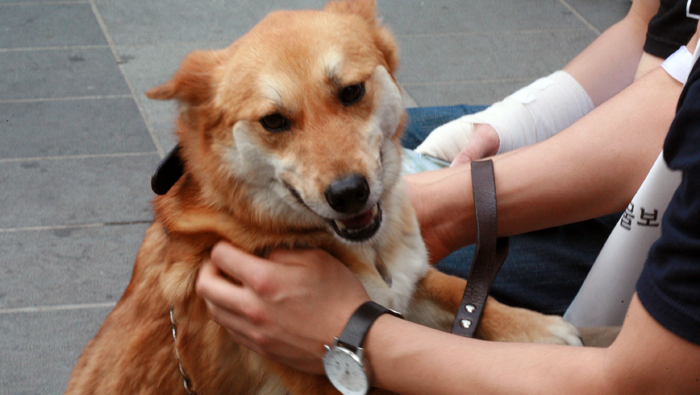 늦은사진 올립니다