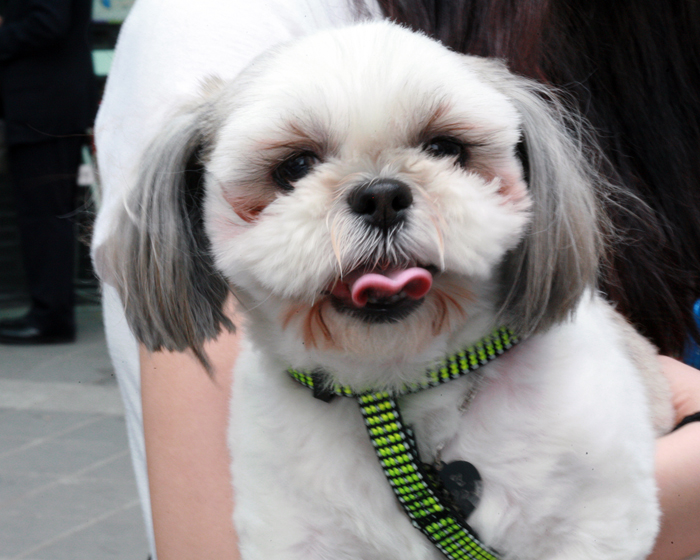 늦은사진 올립니다