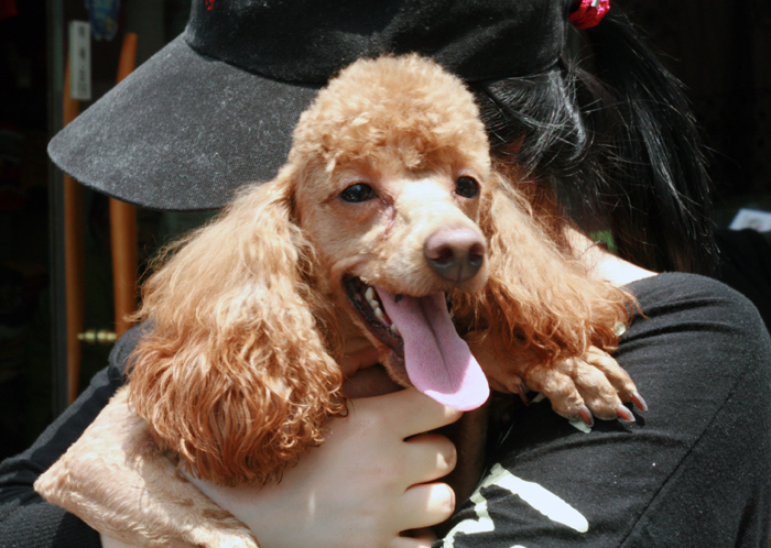 늦은사진 올립니다