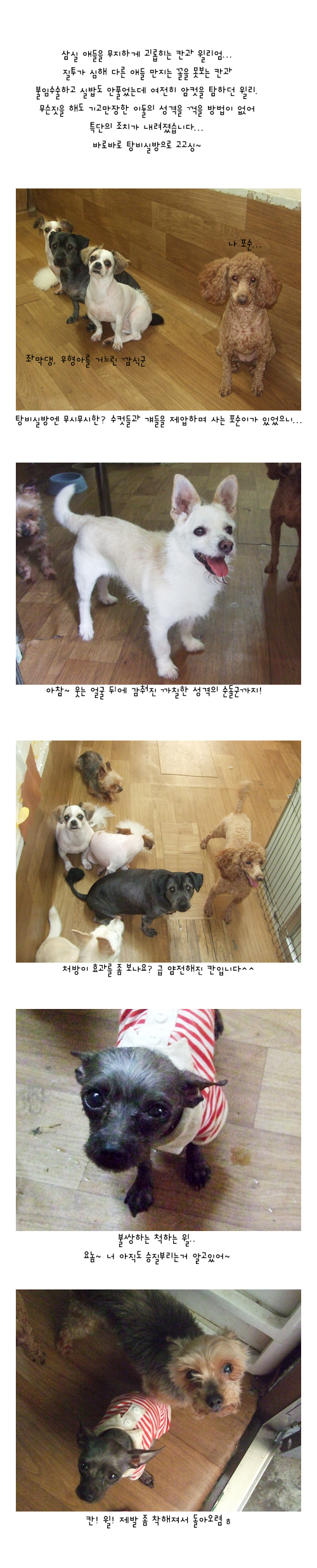 칸이와 윌리엄 이사가던 날