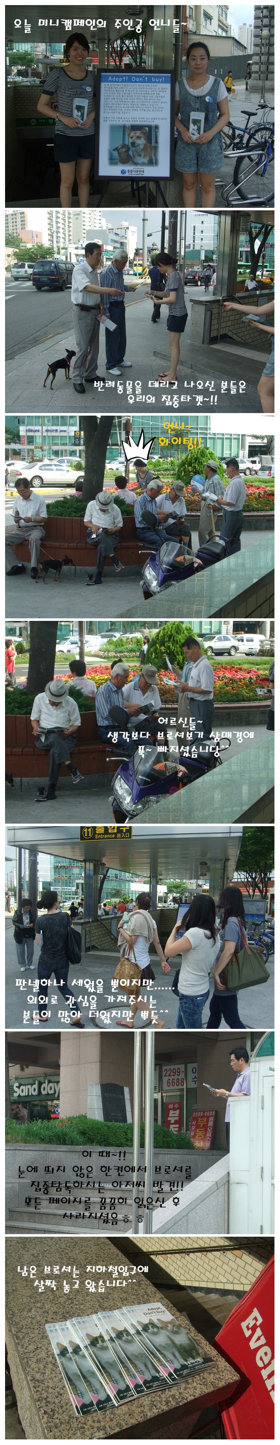 6/15일 유기동물 입양의 필요성을 알리는  미니캠페인 진행~