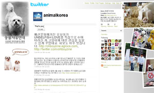 동물자유연대 트위터가 이쁜 스킨을 입었어요~