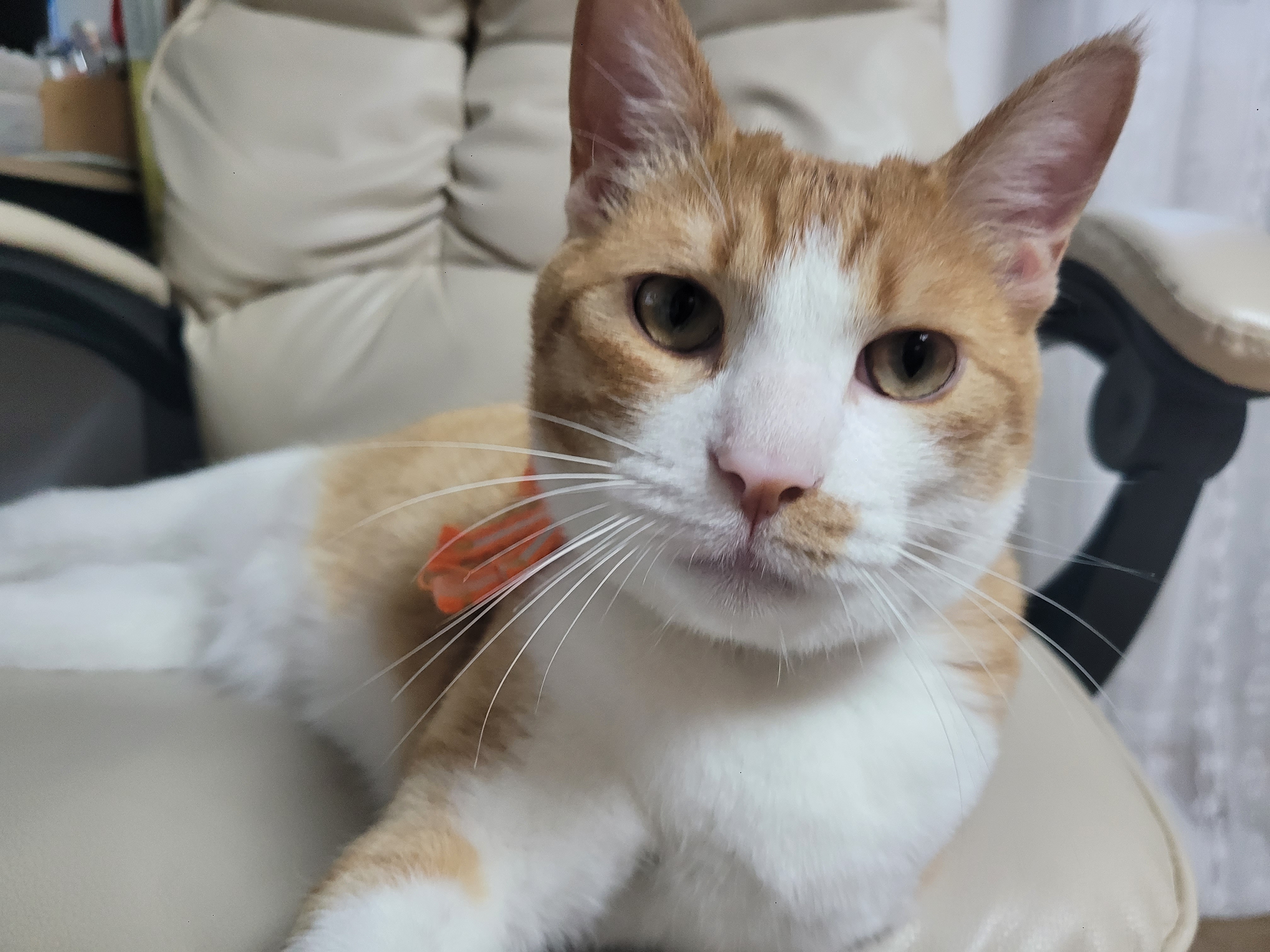 1년2개월후... 더 이뻐진 우리뀨리 