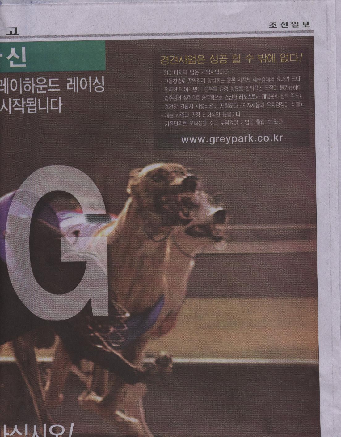 그레이 하운드 경견장이 성공할수 밖에 없는 이유라네요.