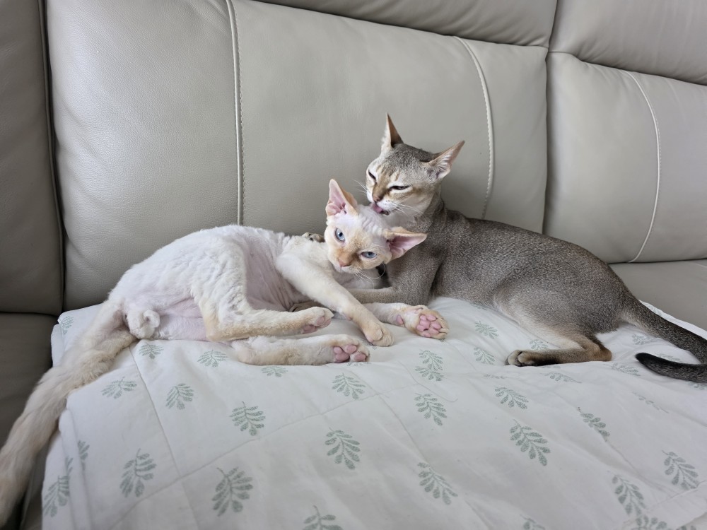 단하 3개월 간의 기록