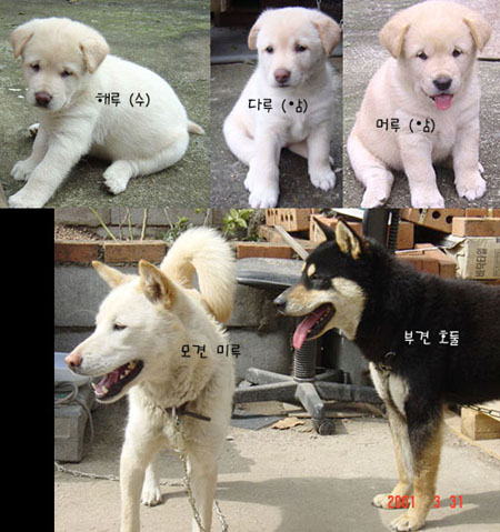 [re] 네