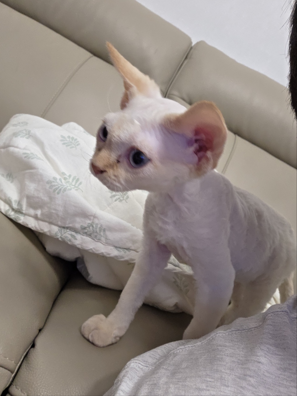 단하의 한달간의 기록