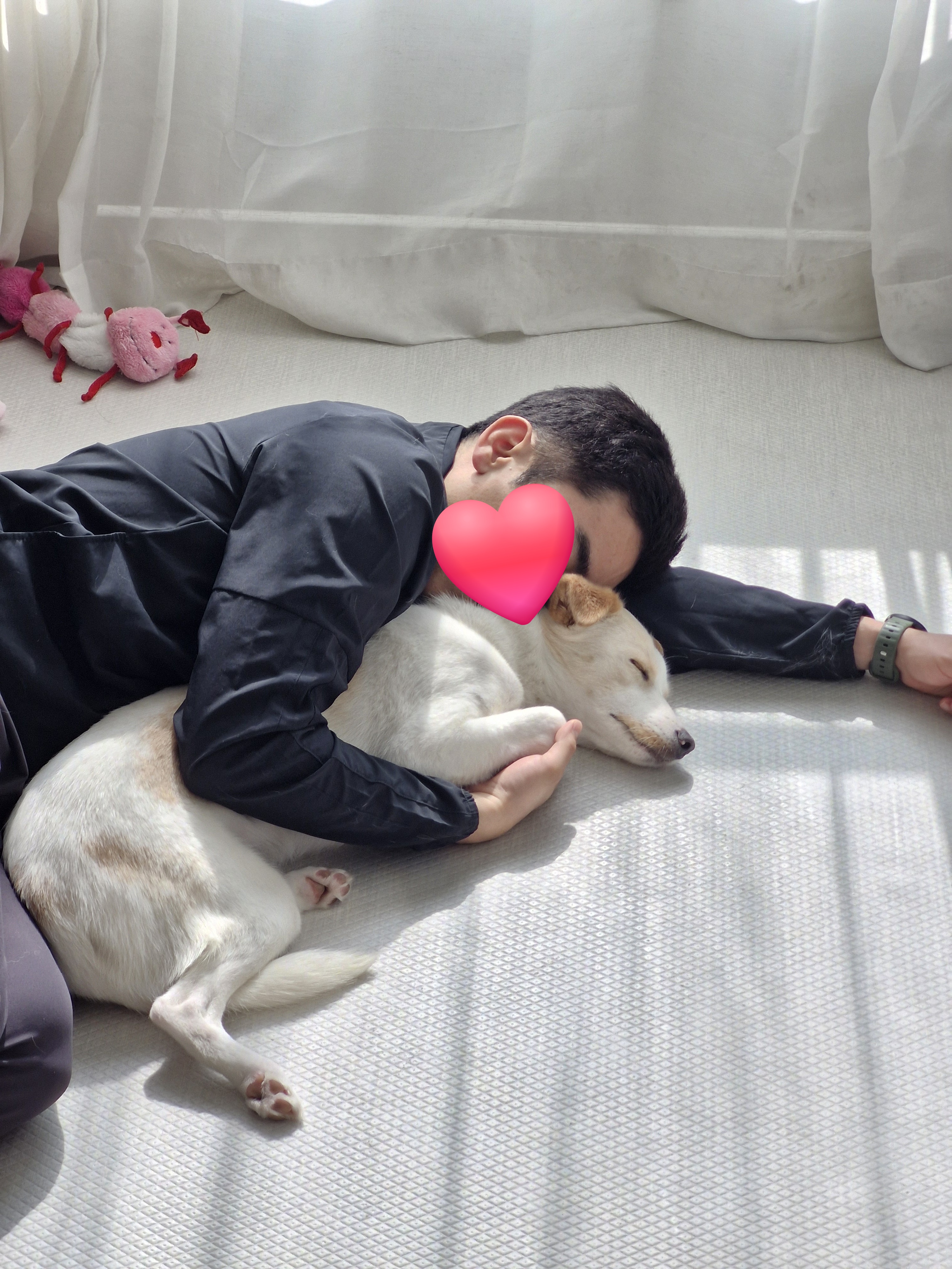 구구(구 건빛) 입양 2년차 후기입니다🧡